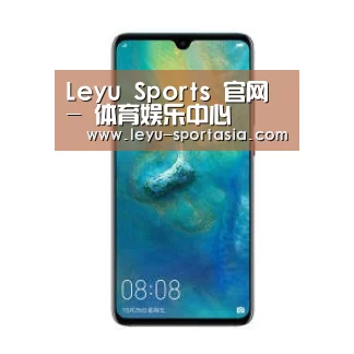华为无线快充手机