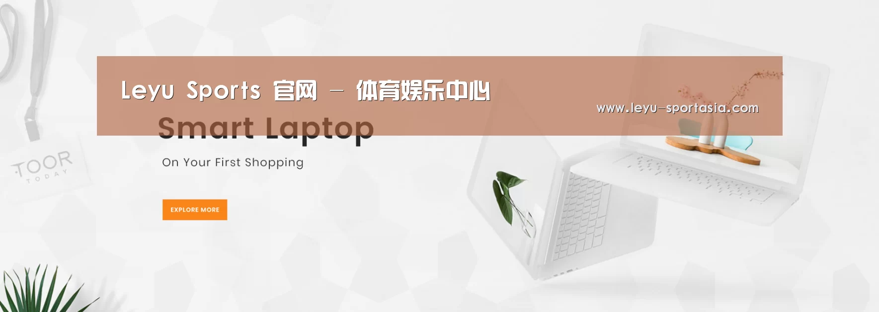 某某网络科技有限公司