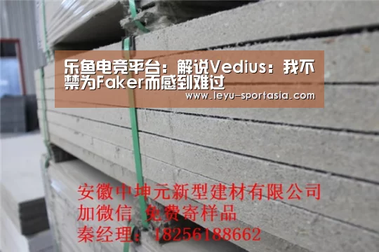 乐鱼电竞平台:解说Vedius:我不禁为Faker而感到难过(图1) 乐鱼官方入口