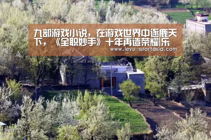 九部游戏小说,在游戏世界中逐鹿天下,《全职妙手》十年再造荣耀|乐鱼篮球竞猜(图1) 乐鱼体育赛事直播
