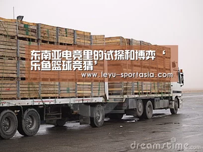 乐鱼官方入口