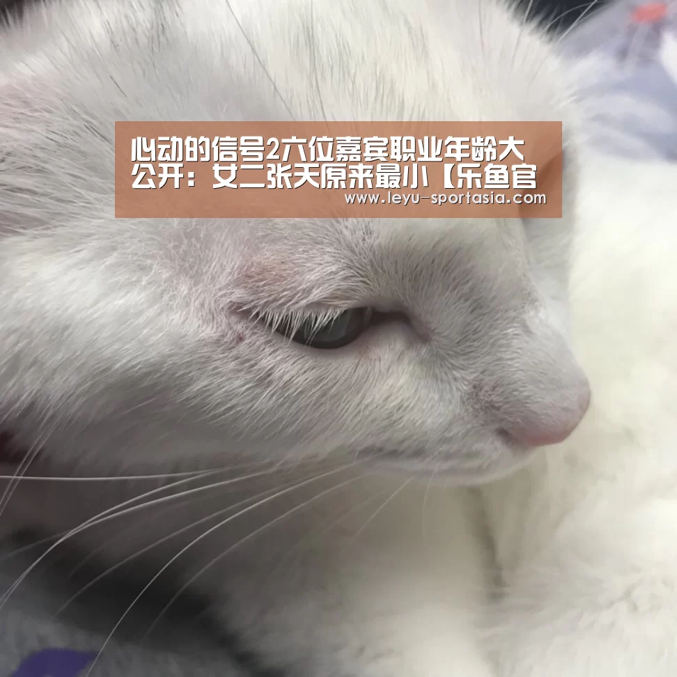 心动的信号2六位嘉宾职业年龄大公开:女二张天原来最小【乐鱼官方入口】(图4) 乐鱼篮球竞猜